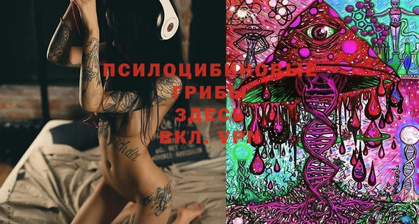 спиды Абаза