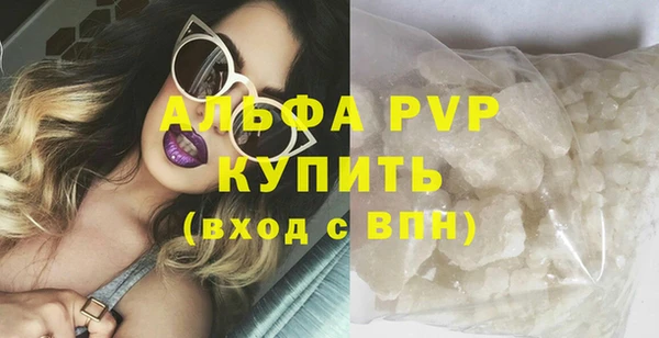 спиды Абаза