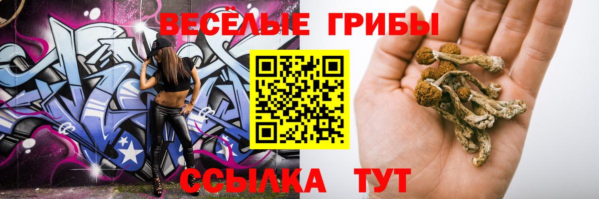 Псилоцибиновые грибы Psilocybe Подольск