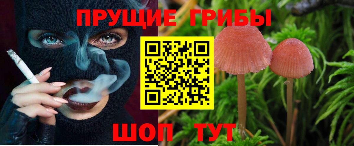 Подольск  Галлюциногенные грибы Magic Shrooms  Вход с VPN 