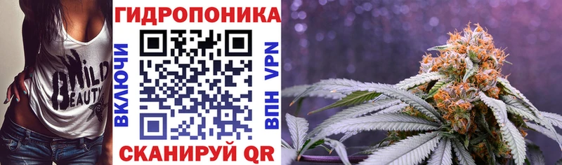 kraken маркетплейс Подольск Каннабис семена